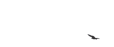 雁